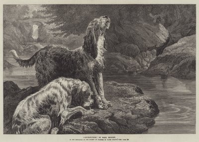 ثعبان الصيد بواسطة باسل برادلي